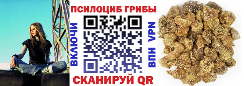 Галлюциногенные грибы Magic Shrooms  Алапаевск 